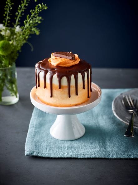 Mini Cake Box