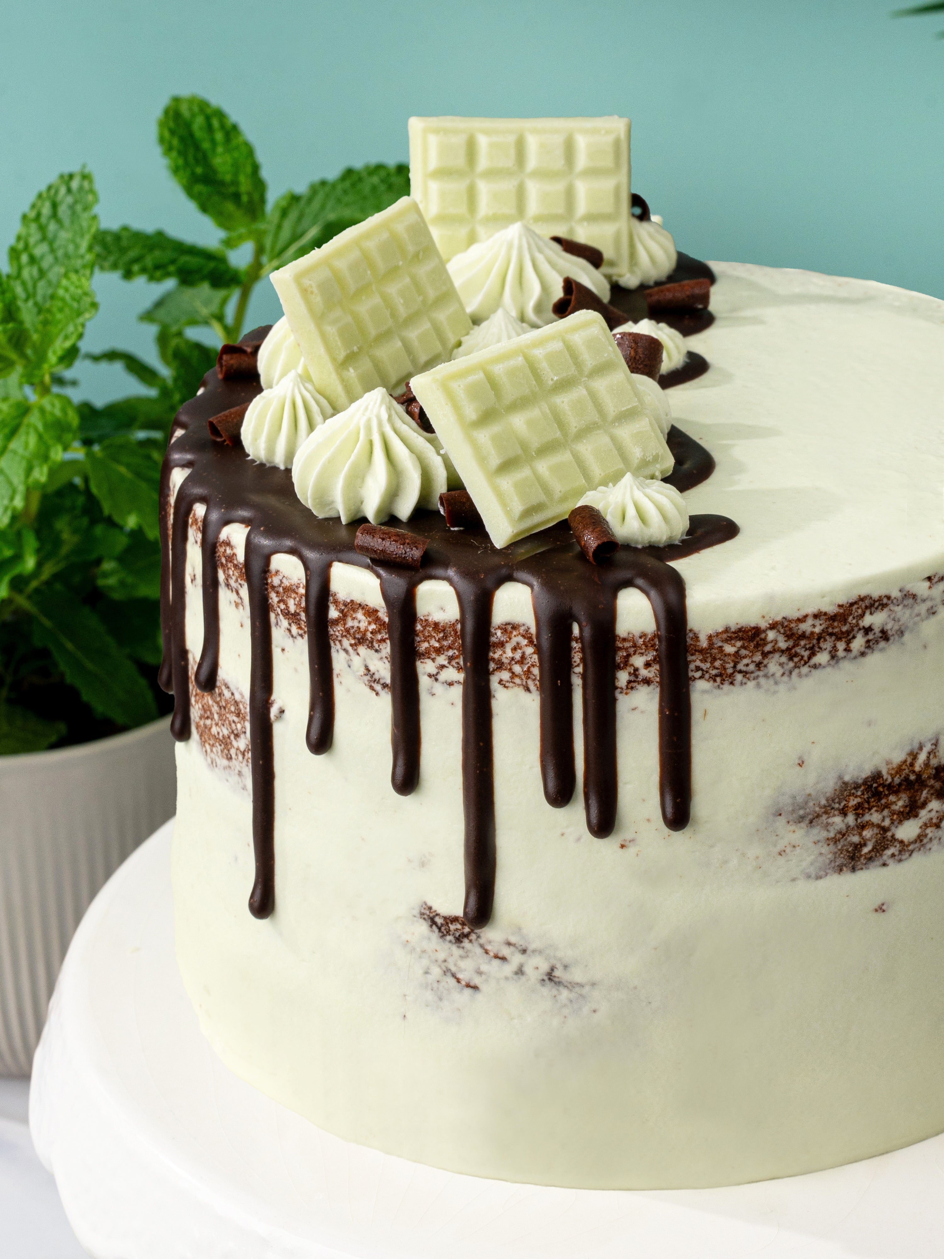 Mint Chocolate Cake