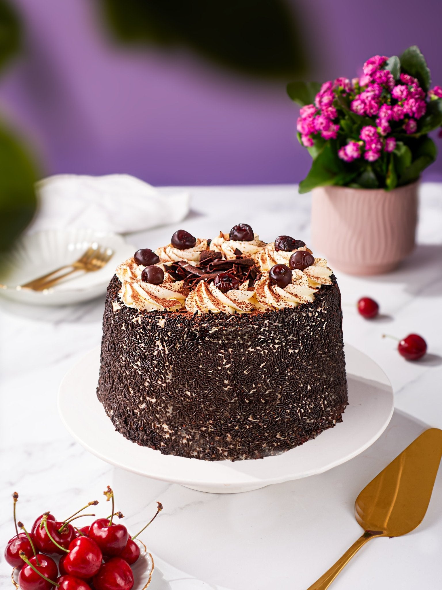 Black Forest Gateau Delivery | Patisserie Valerie