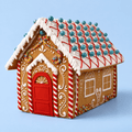 Biscuiteers DIY Gingerbread House Kit