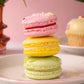 Spring Macaron Gift Box - Perfect for Mum with Mother's Day Gift Box Sleeve - Patisserie Valerie